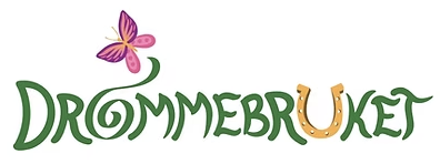 Logo for Drommebruket med en sommerfugl og grønne bokstaver