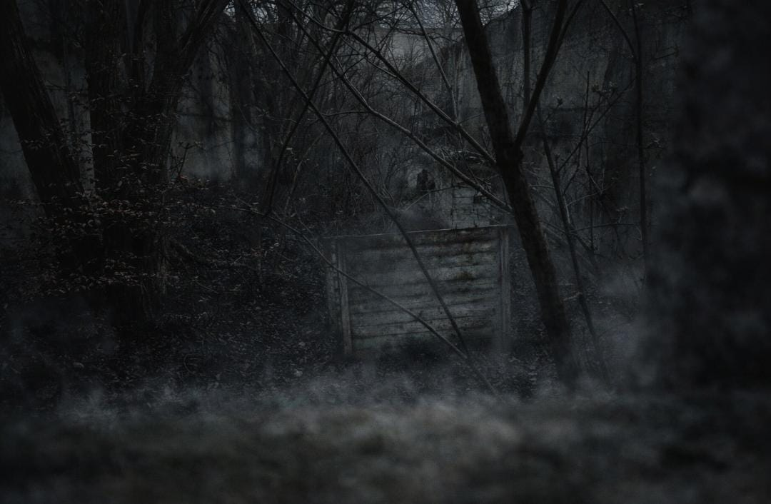 Nächtliche Waldszene mit einem verrosteten, hölzernen Tor zwischen Bäumen und Nebel am Boden.