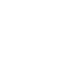 Ally-and-Mo_0002_TRIP-logo.png