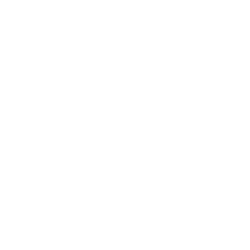 Ally-and-Mo_0003_TerumoCV-Logo_stacked_white.png