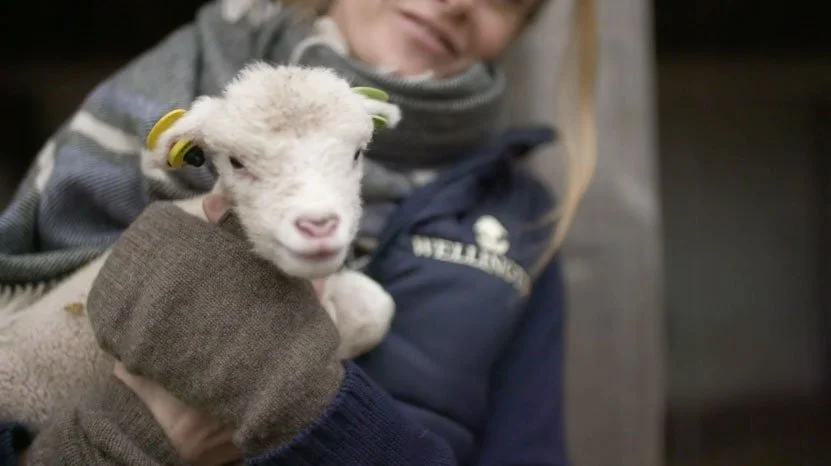 Wellington Farm Shop | Promo