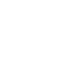 Ally-and-Mo_0008_OpensignalMWC-Overlay_Transparent-PNG.png