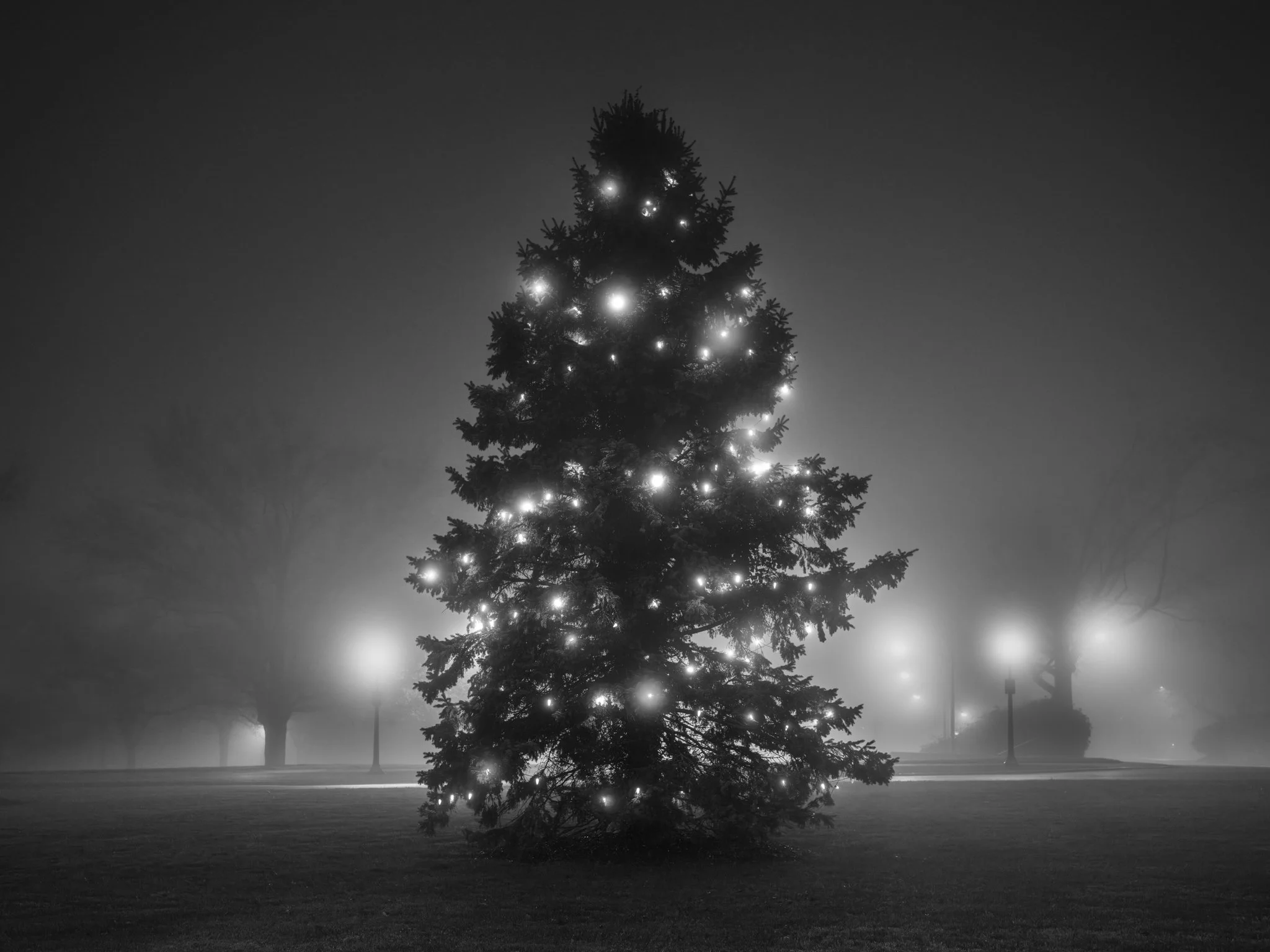 Christmas at the Cathedral
