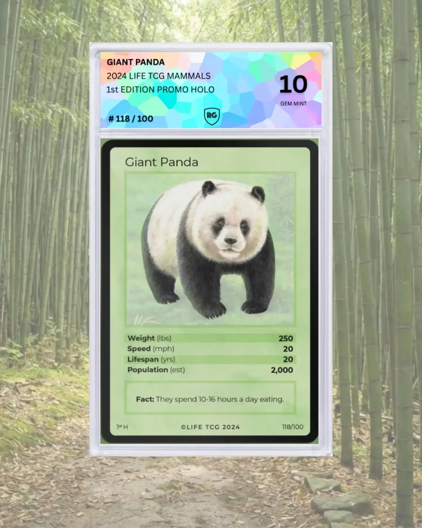 Panda Perfection: The Ultimate Gem Mint 10! 🐼

This stunning 2024 Life TCG Mammals Giant Panda. This 1st Edition Promo Holo isn&rsquo;t just a rare find&mdash;it&rsquo;s a masterpiece of nature and TCG craftsmanship.
.
.
.
#richgrading #lifetcg #gia