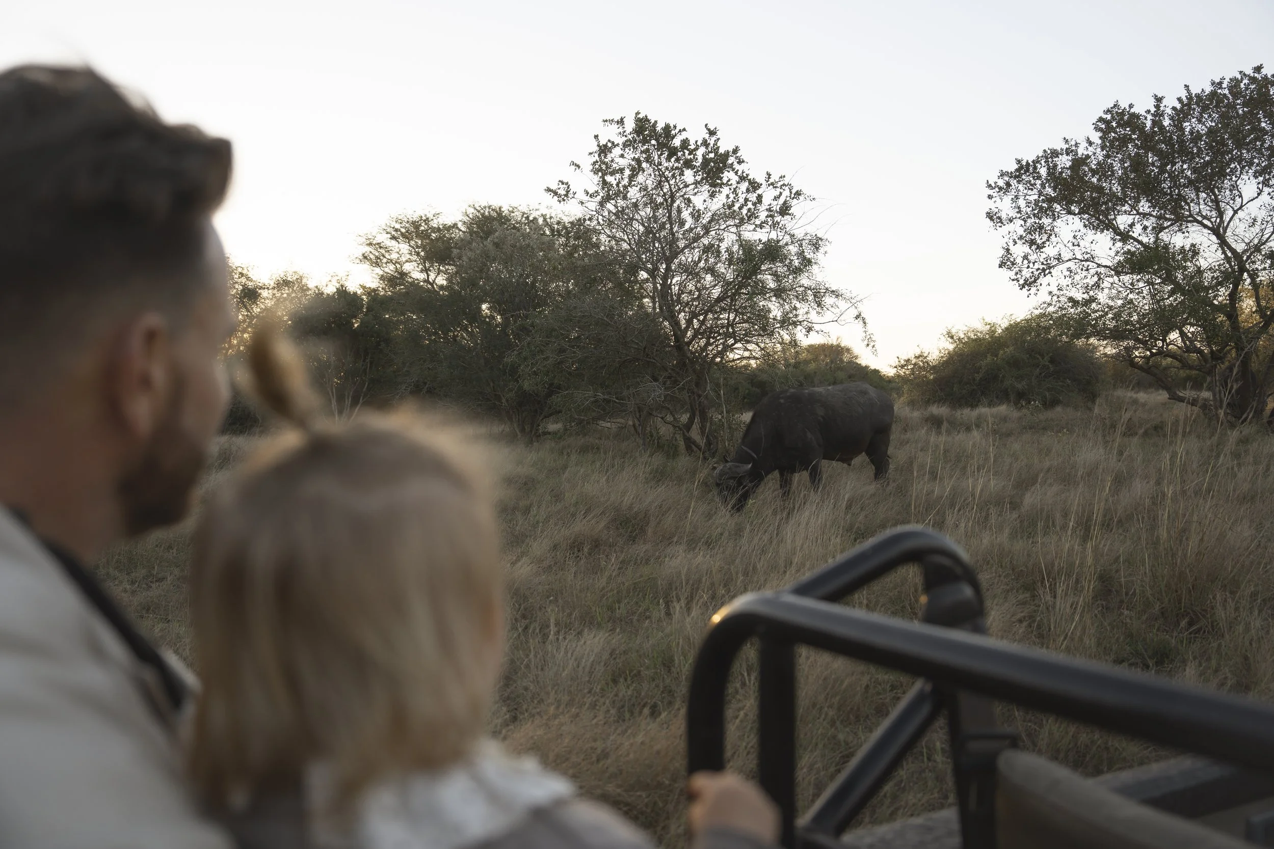 Parent and child watching a buffalo from a game drive vehicle