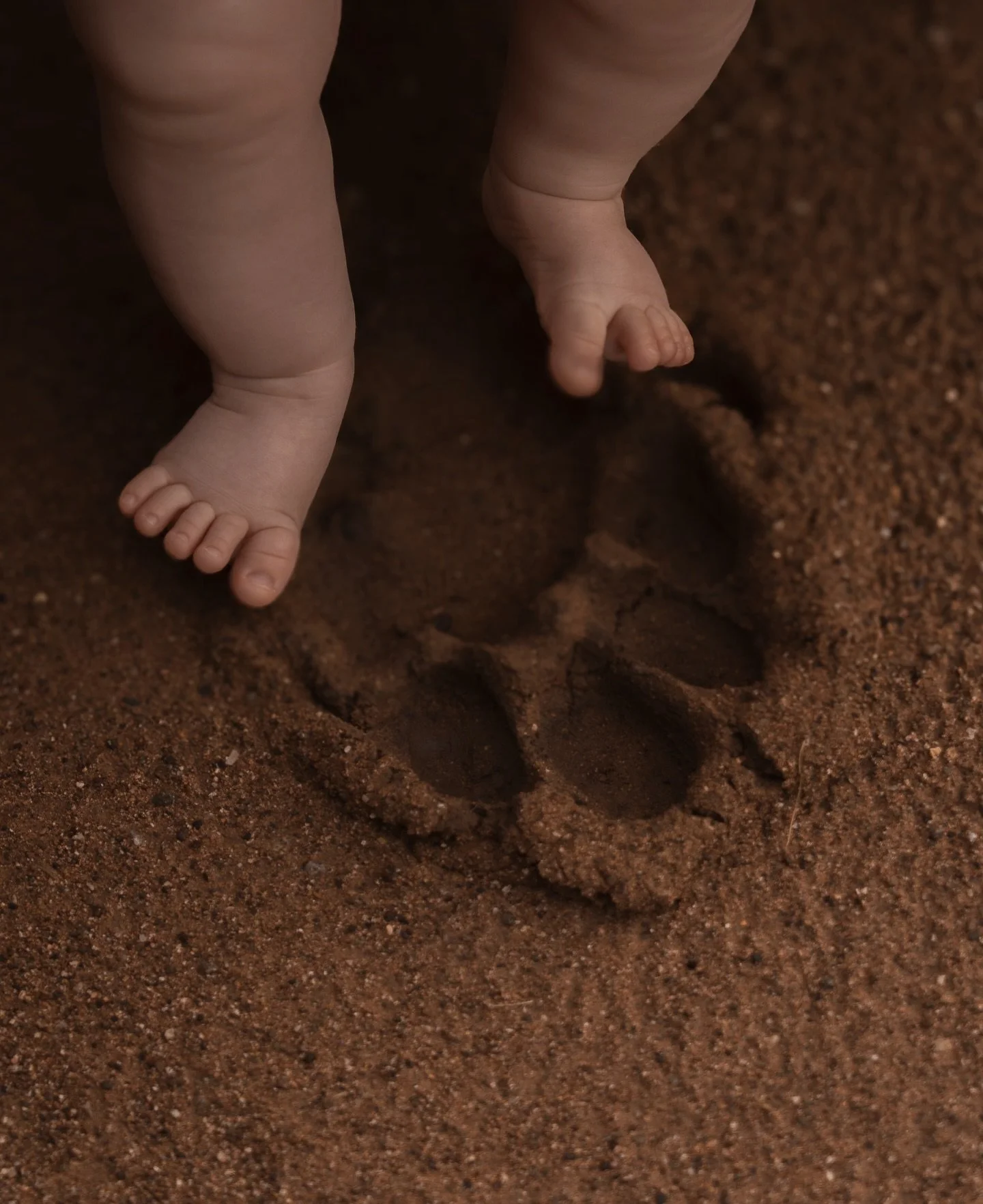 She had no idea where she was. She just knew it felt like somewhere.

House of Wild

#houseofwild #africasafari #familytravel