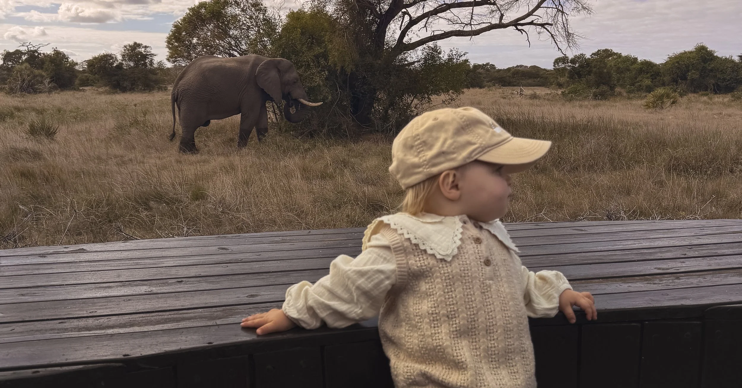 Toddler in long sleeves and a hat on a lodge deck watching an elephant