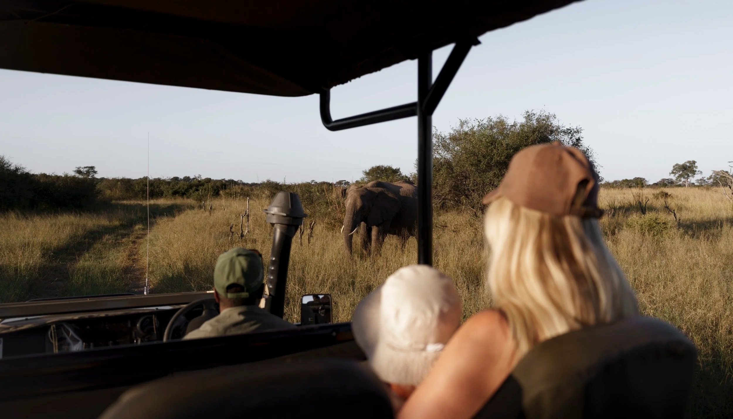 mother and toddler watching an elephant from a game drive vehicle, guide driving