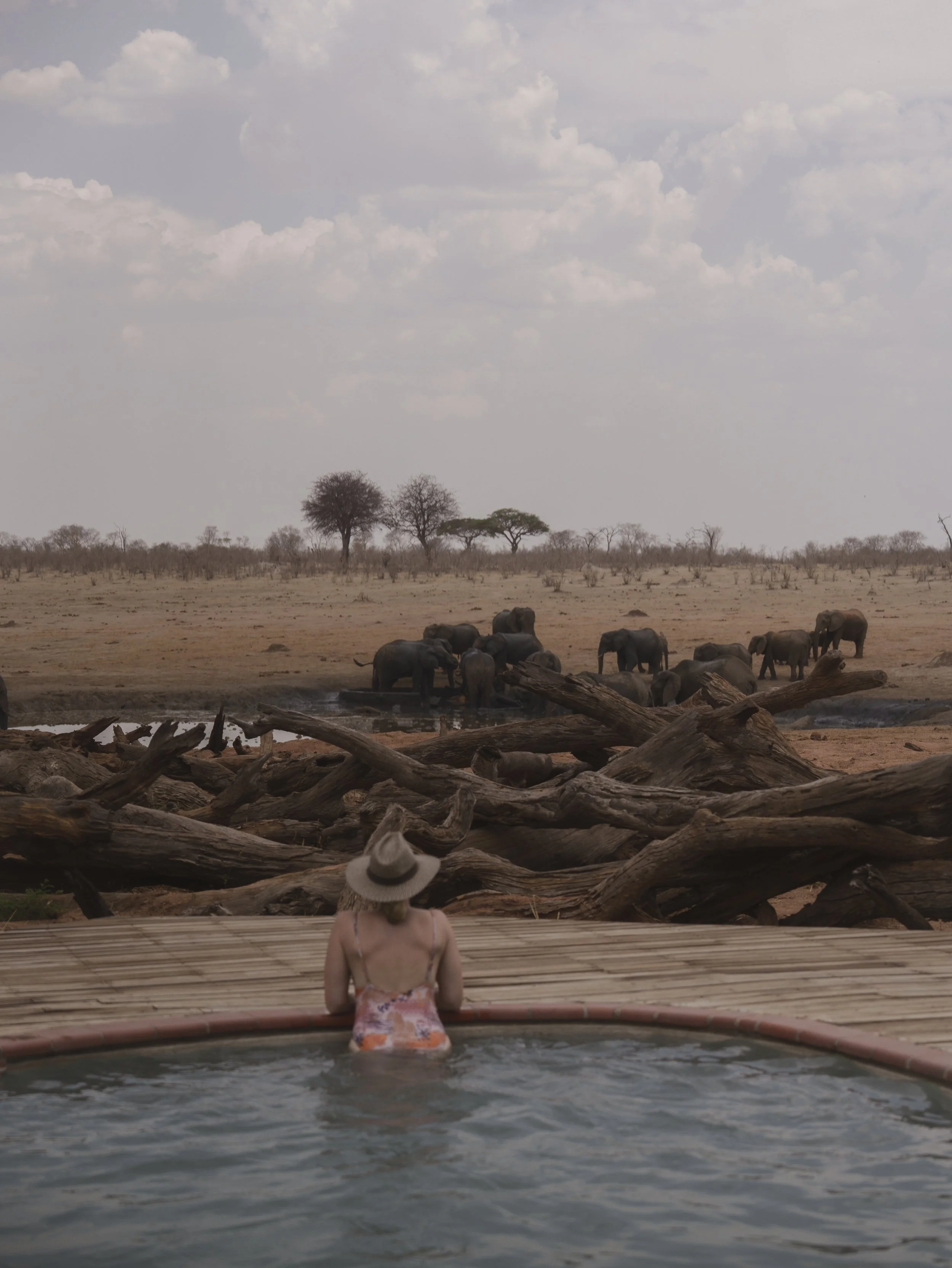 A woman in a floral dress and wide-brimmed hat sitting on a wooden deck, gazing at a herd of elephants near a waterhole in a savanna landscape with scattered trees and cloudy sky.