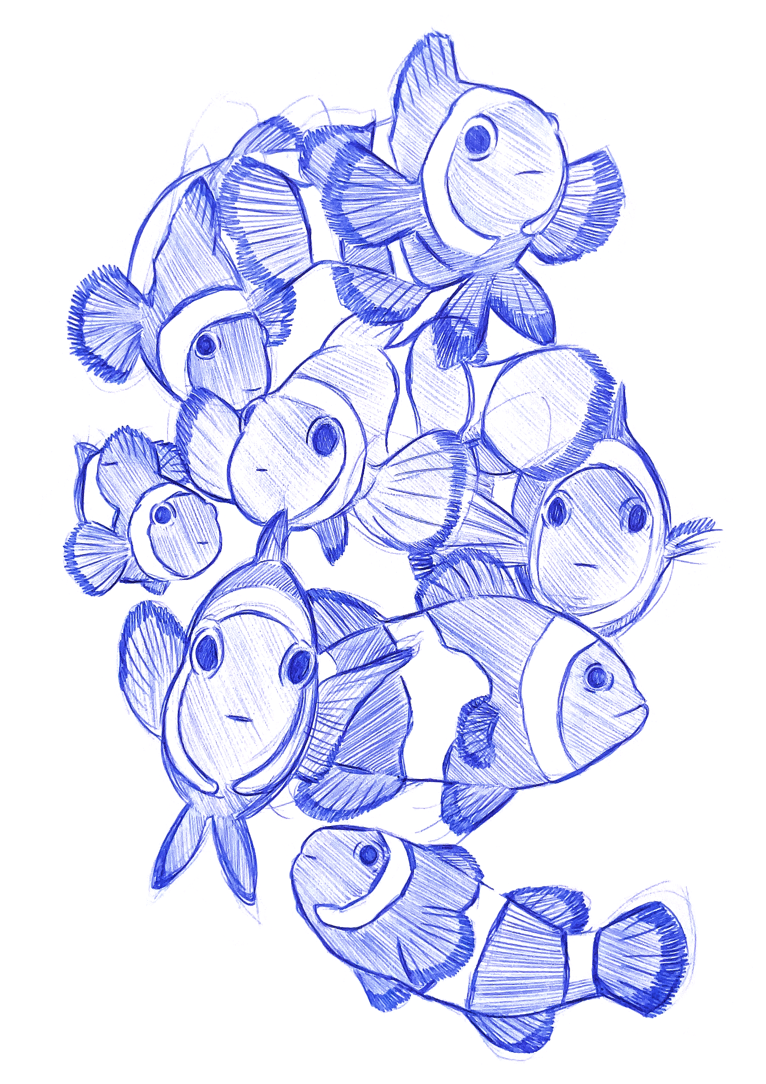 Poissons Clowns - Tirage A4