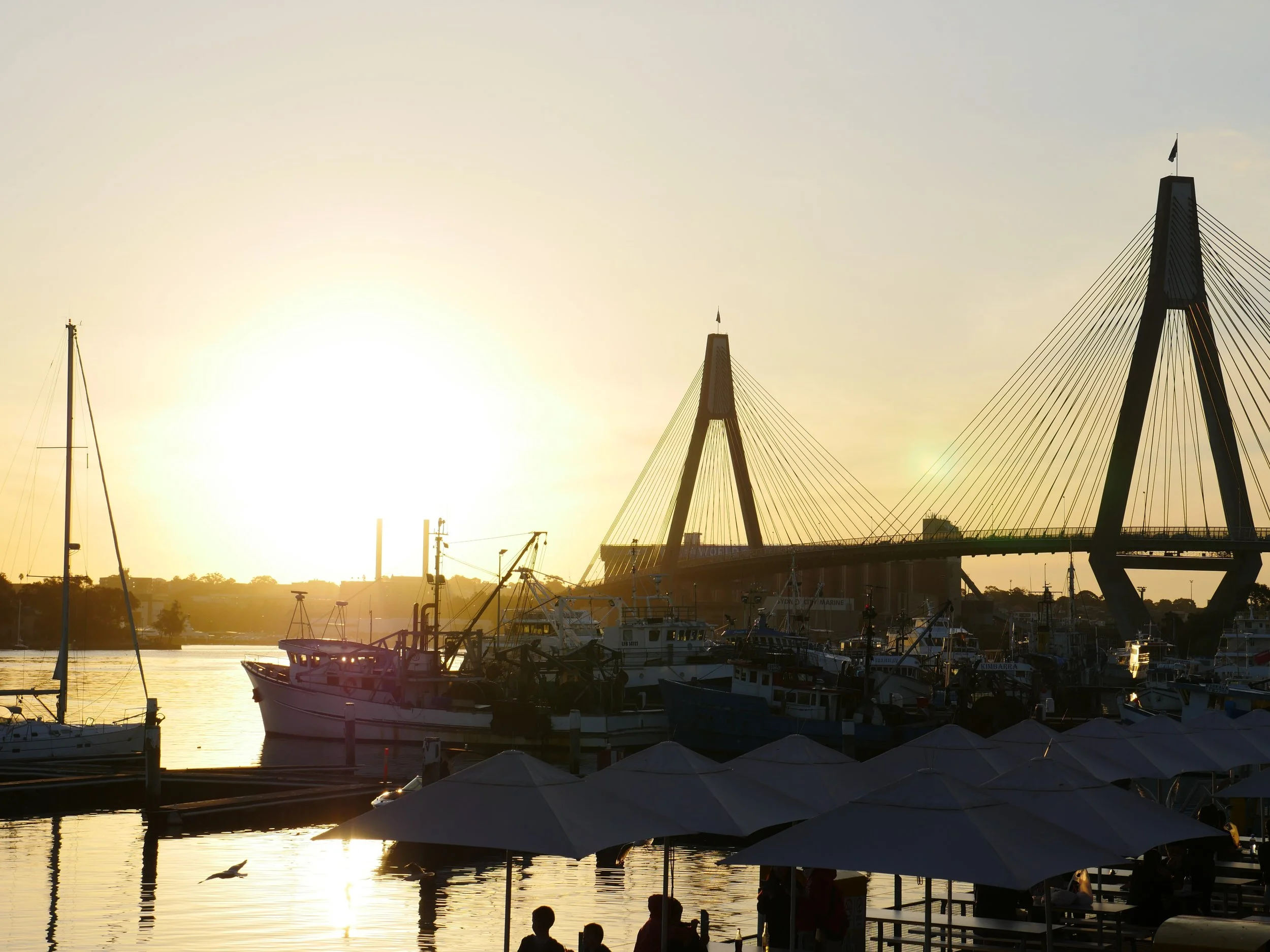 How Sydney Psychologists Can Attract More GP Referrals