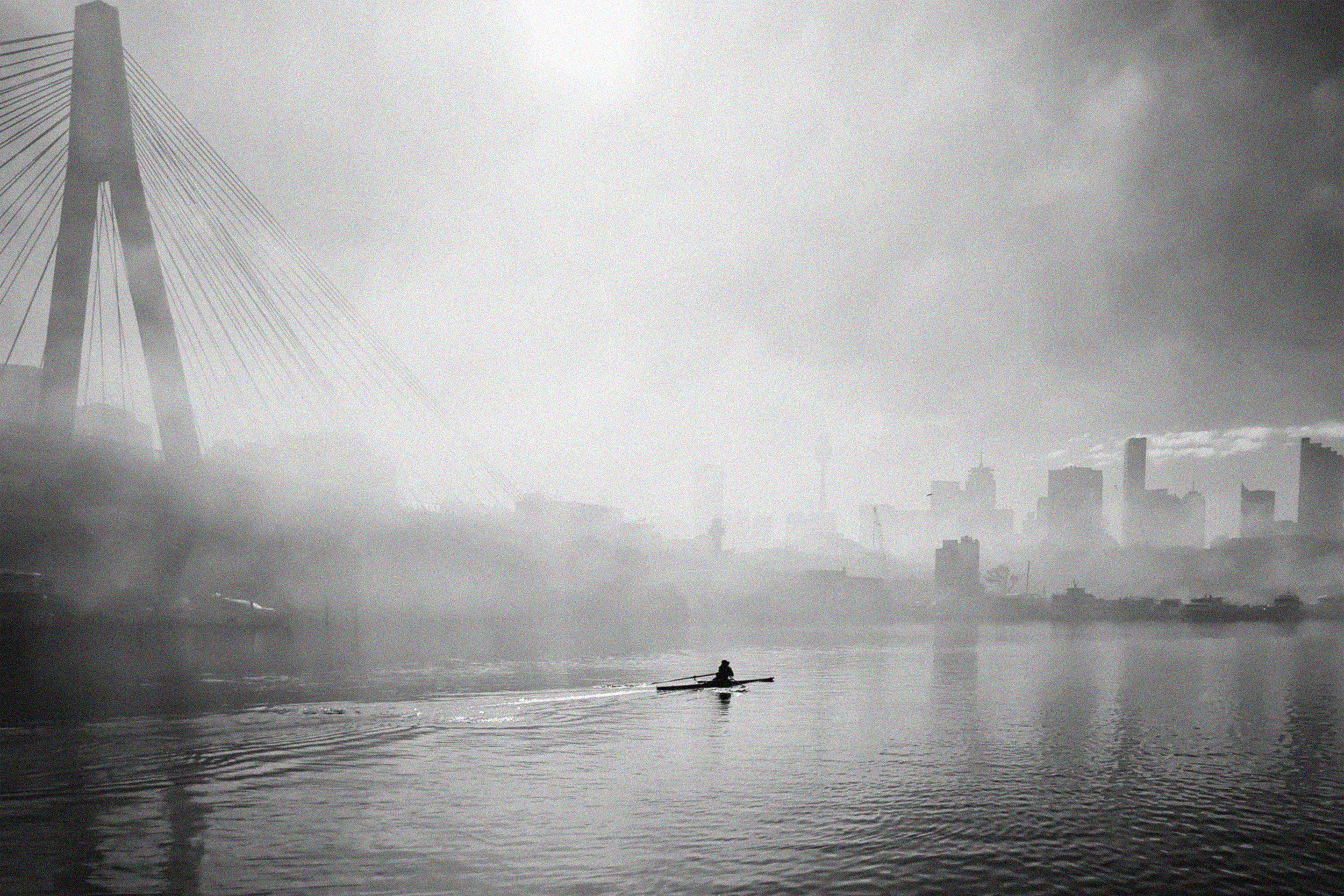 A black and white photo of a person kayaking in Blackwattle Bay with a City of Sydney skyline, including tall buildings and Anzac Bridge, in the background.