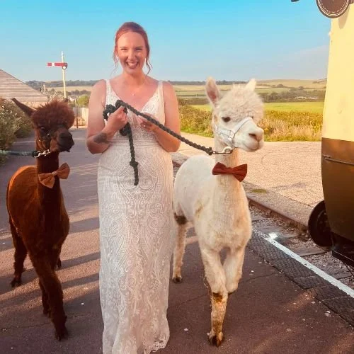 Wedding bride with aplacas at unique Dorset wedding venue.jpg