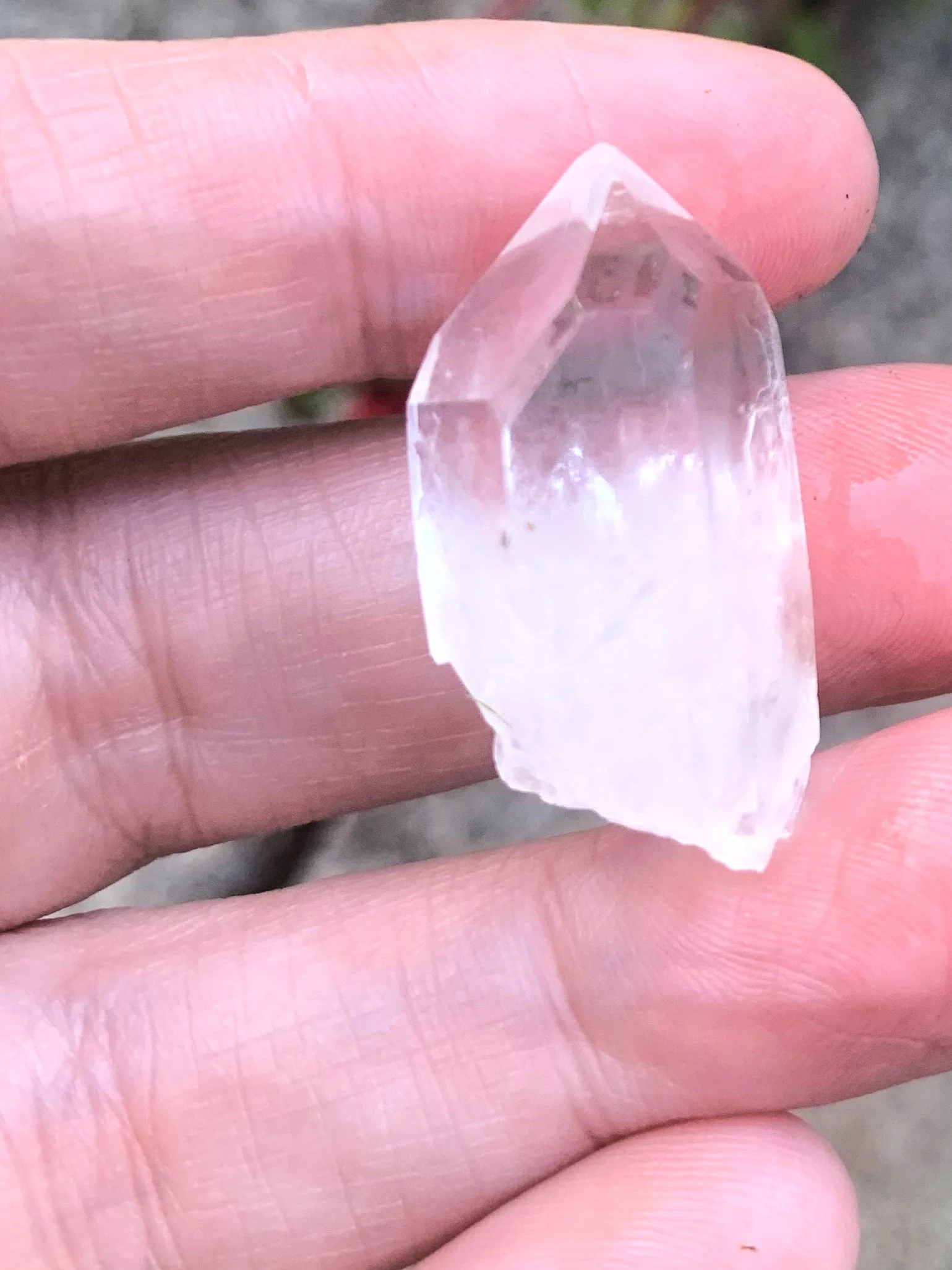 Lemurian 2.jpeg