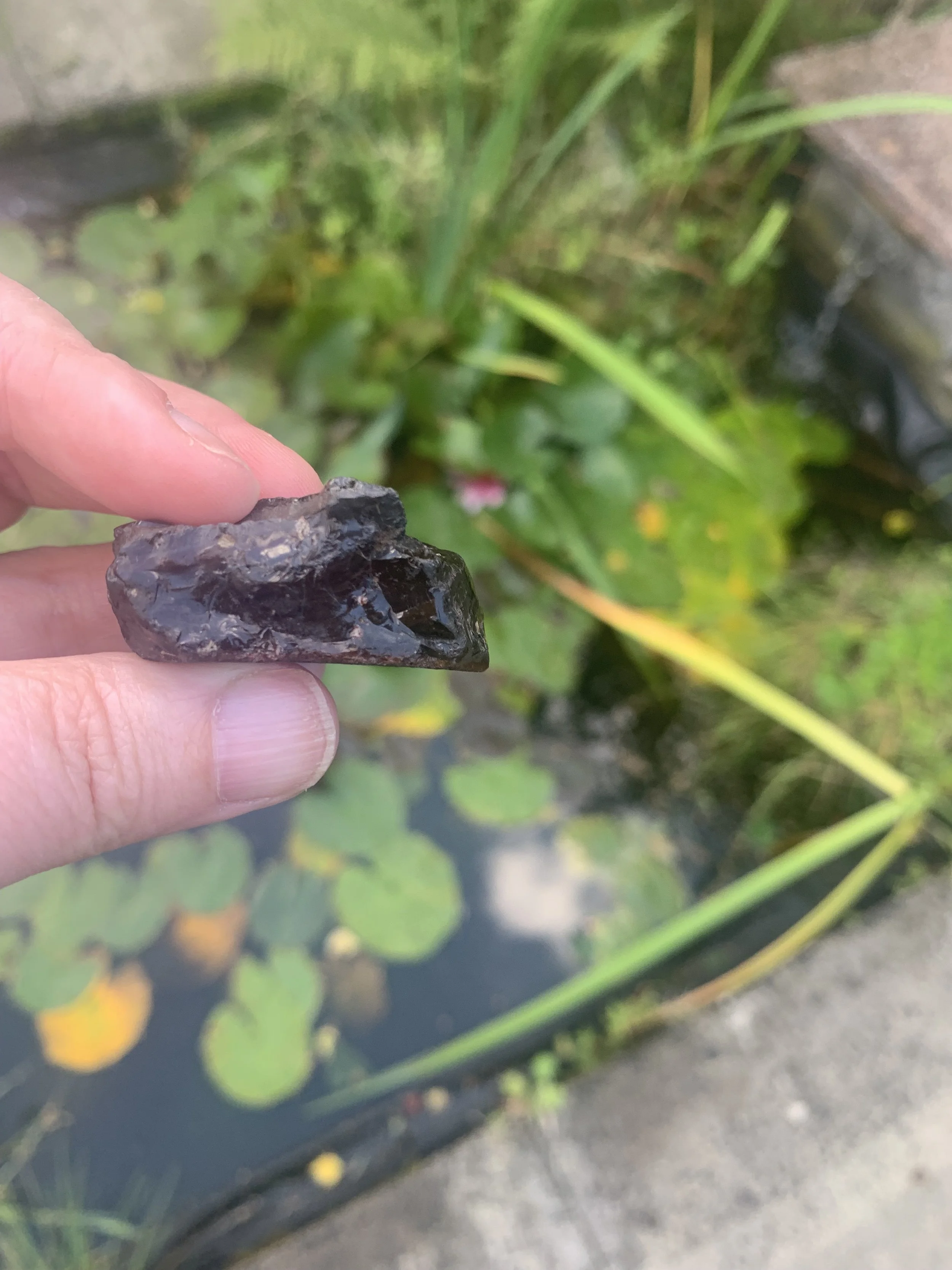 The Shadow Mirror: Raw Ayrshire Vitrain Specimen (28g)