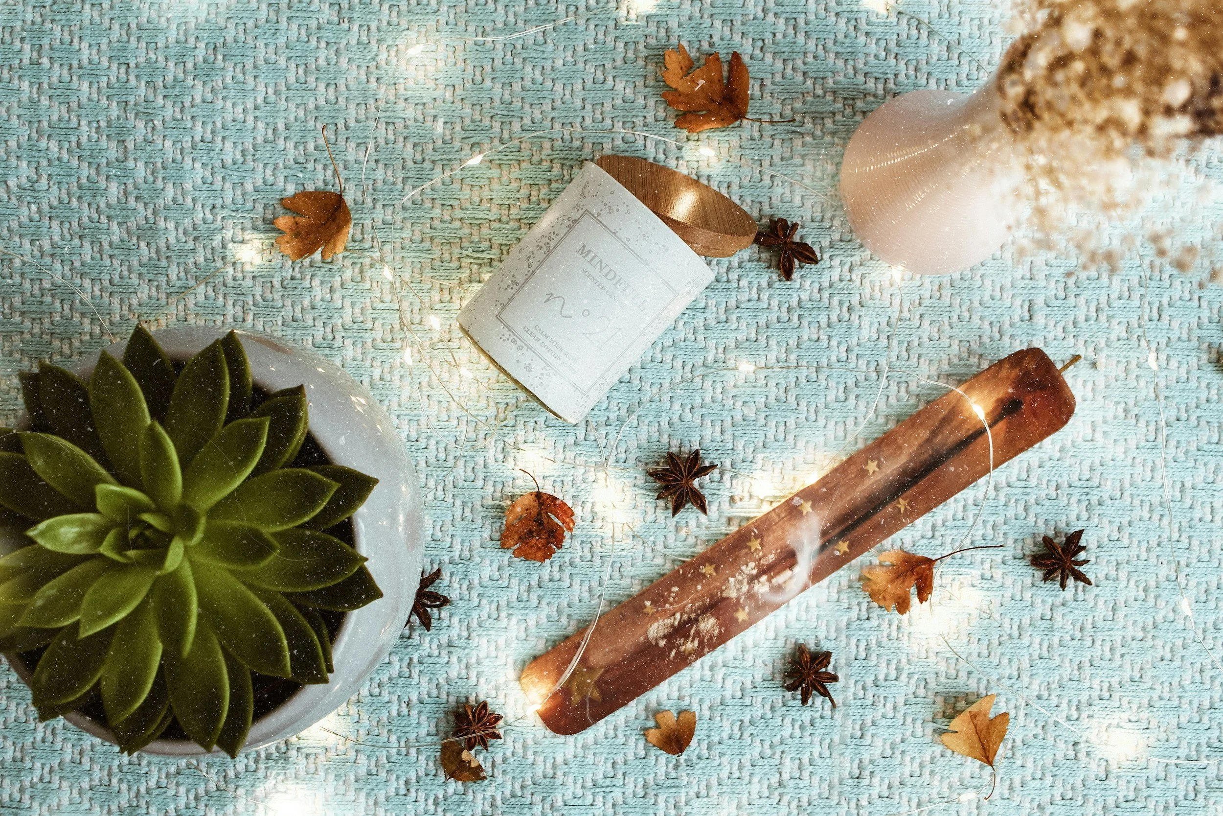 A white pot with a green succulent plant on a light blue woven surface, surrounded by small dried leaves, star anise, a white candle in a glass holder, and a piece of cinnamon stick. A white candle in a glass container labeled 'Mindfully No. 21' with a wooden lid is also present, along with a string of fairy lights.