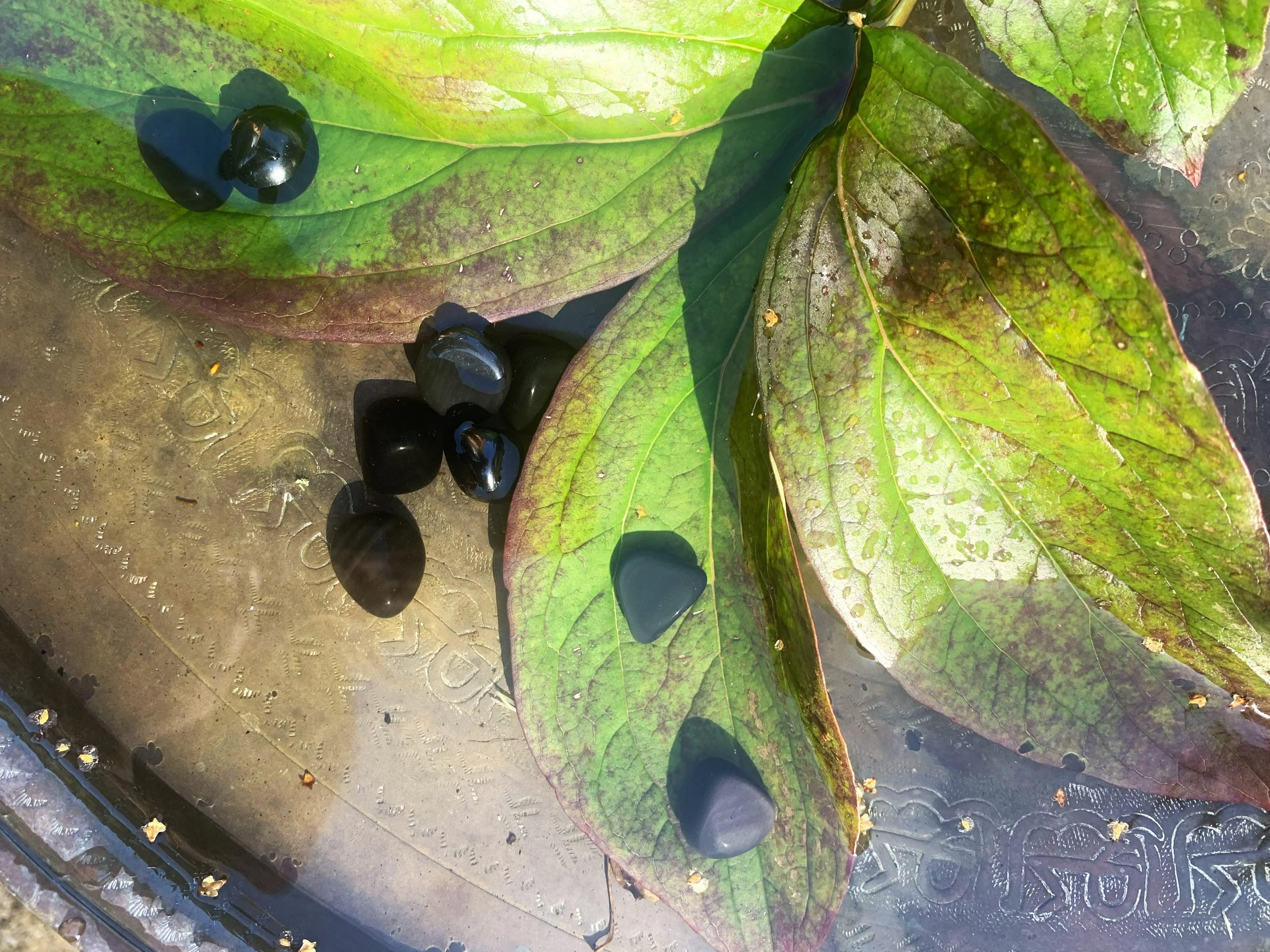 The Shadow Veil: Polished Rainbow Obsidian Pocket Shield