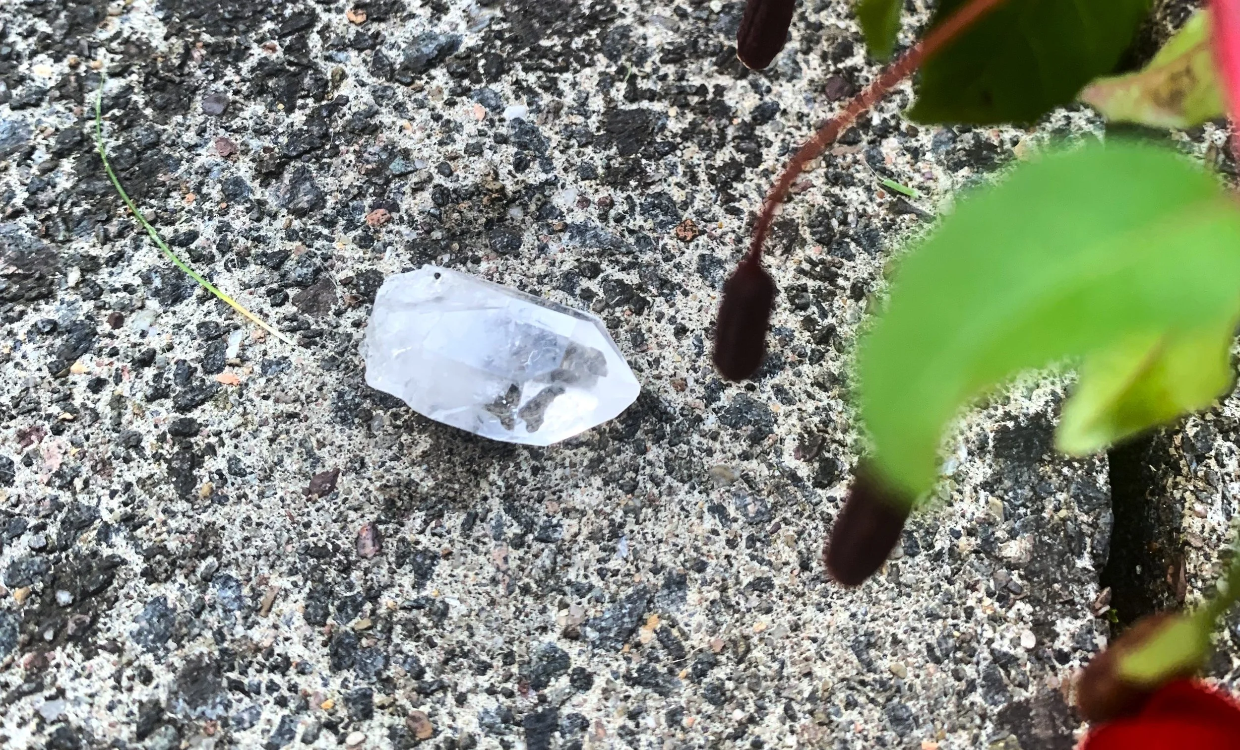 Lemurian 1.jpeg