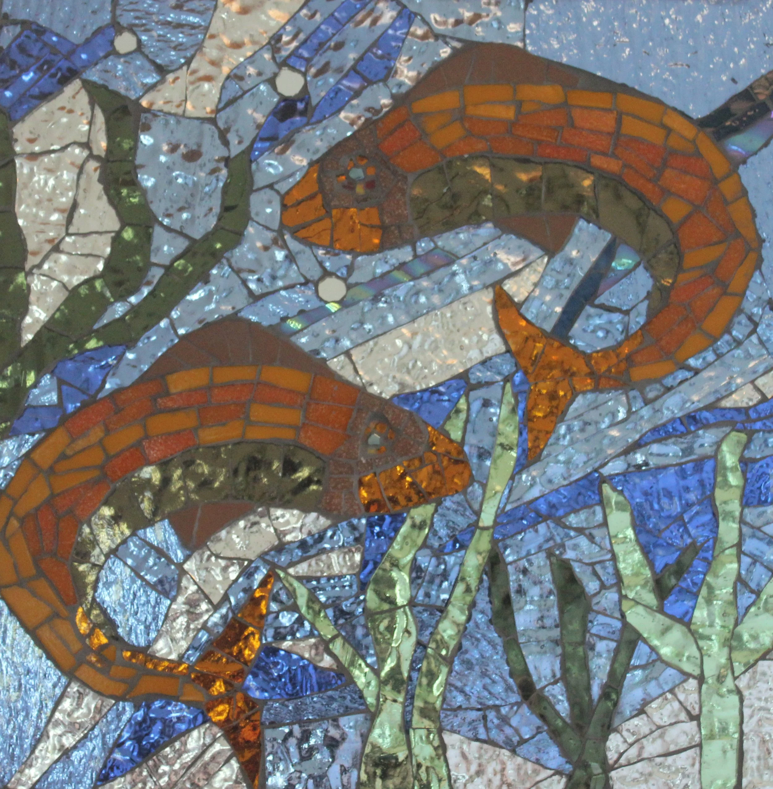 Iasc- Study of fish