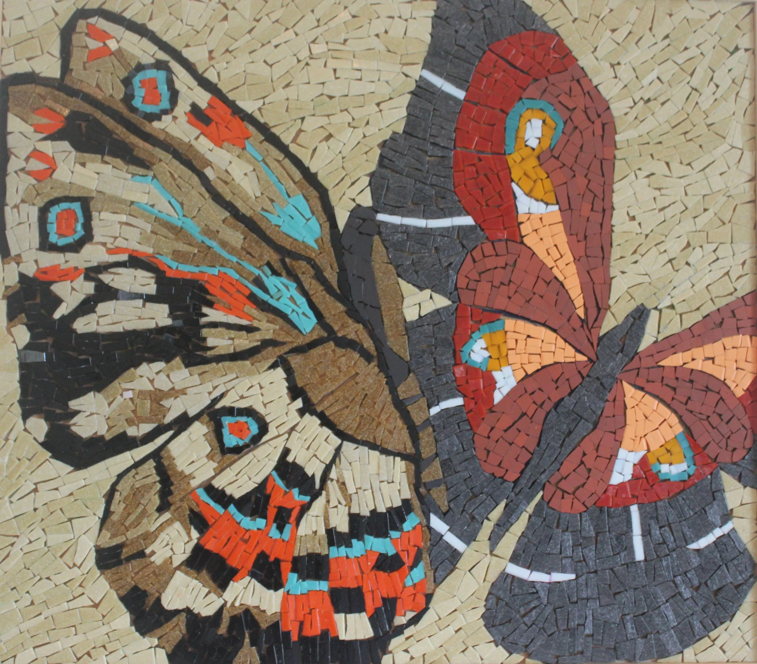 Butterfly/ Féileachán