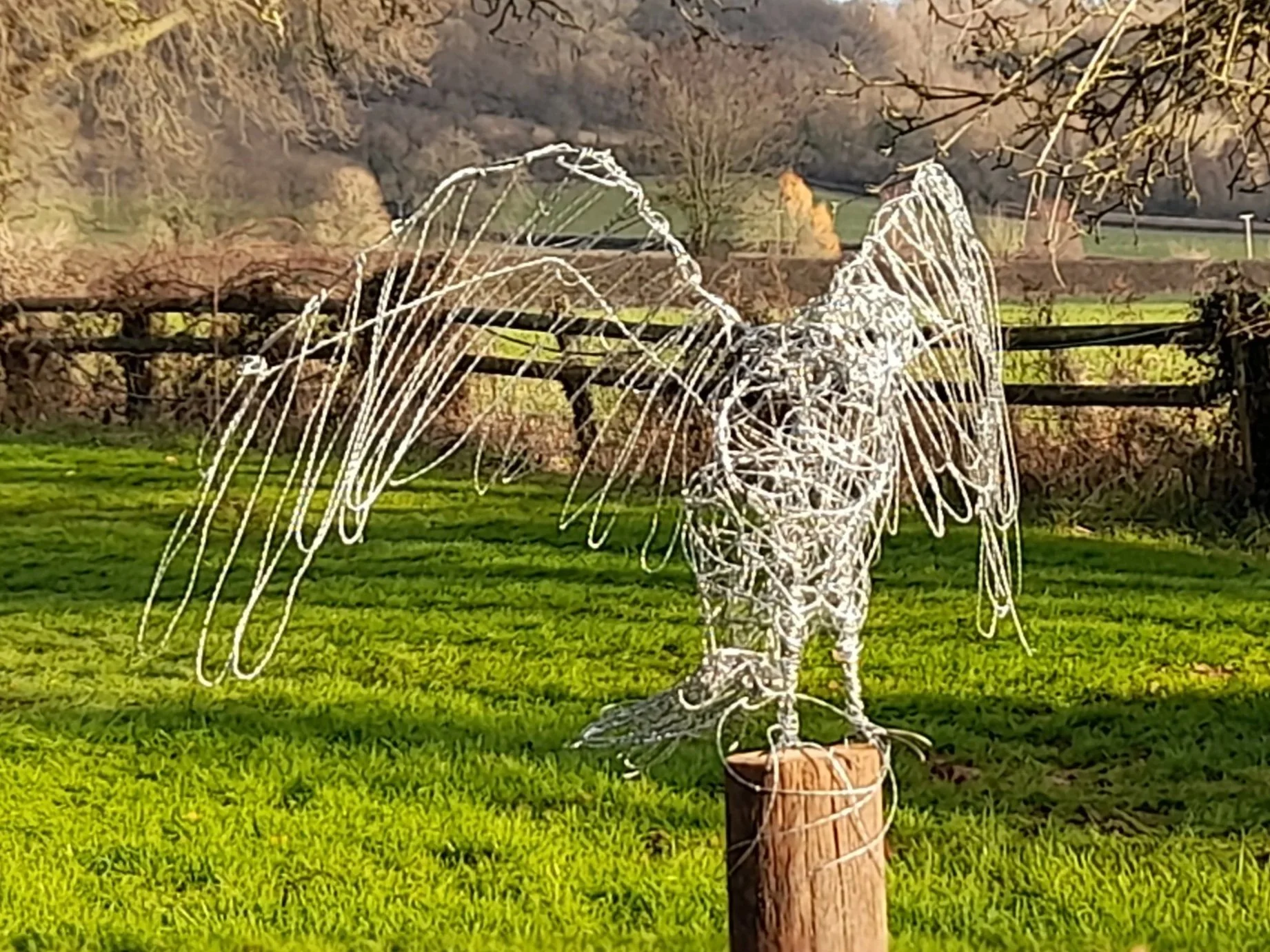 Wire buzzard garden sculpture