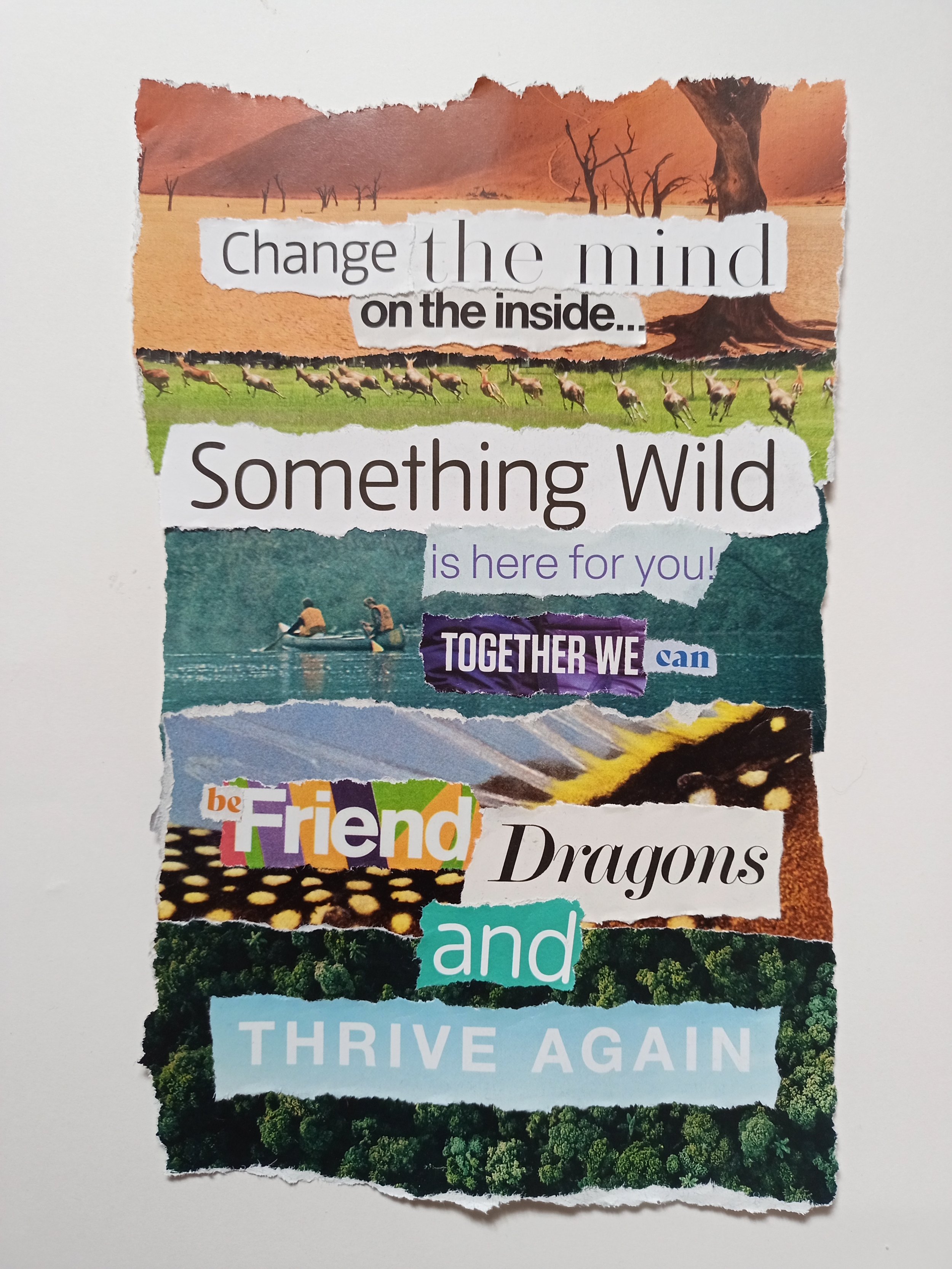 Paper collage, Befriending Dragons