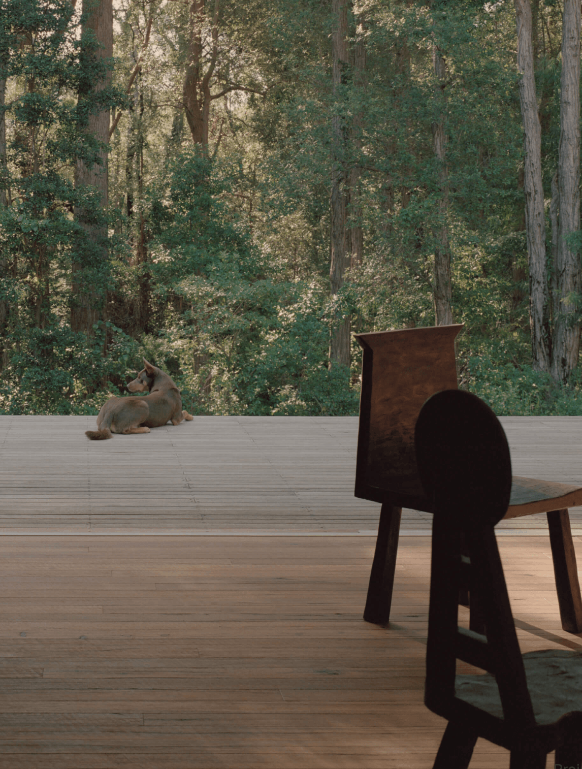 Ironbark House's calm, open-plan living space overlooking the bushland.