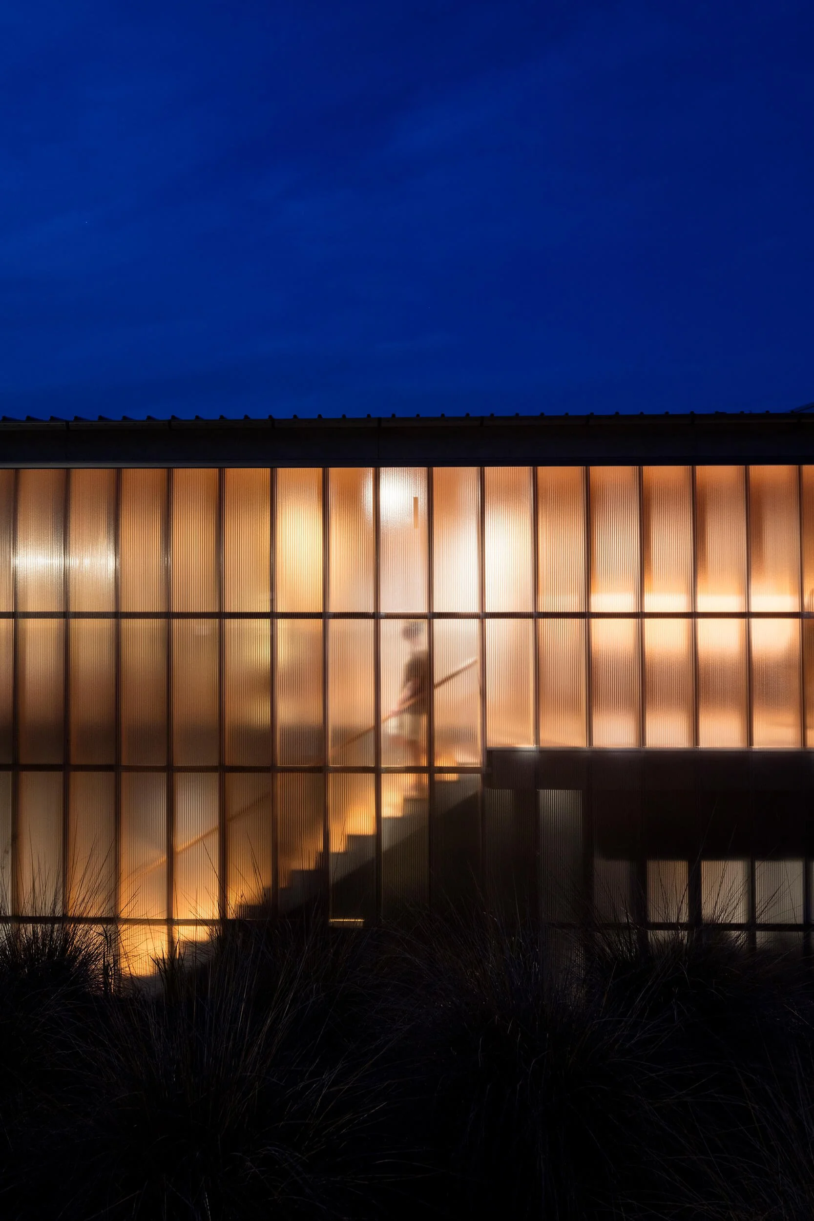 Ambient bushland retreat with frosted glass and mood lighting