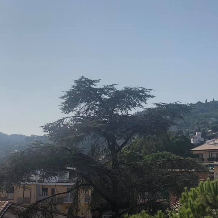 A Peek of the Glorious Wild