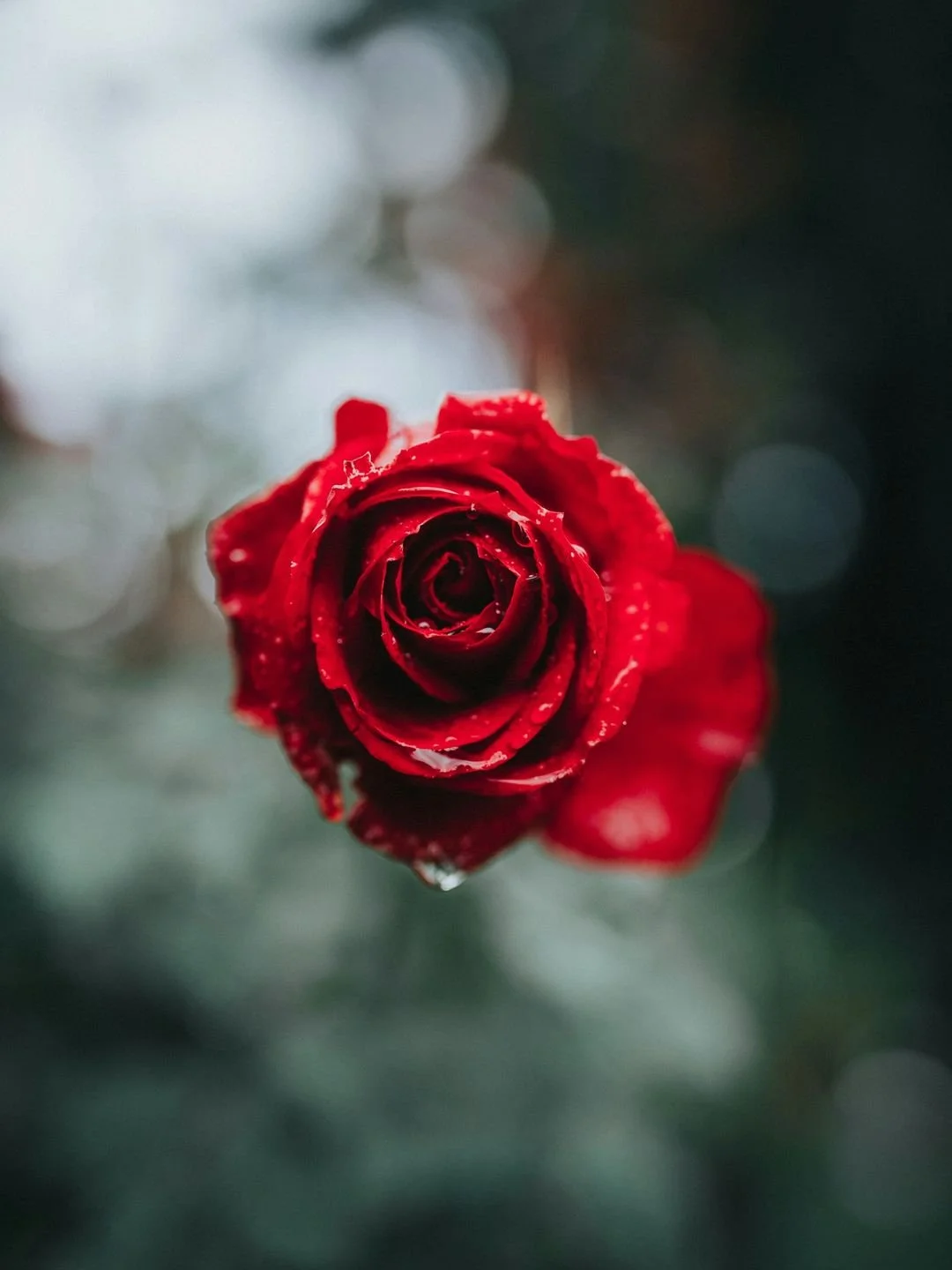 Are you called to the taboo feminine..?