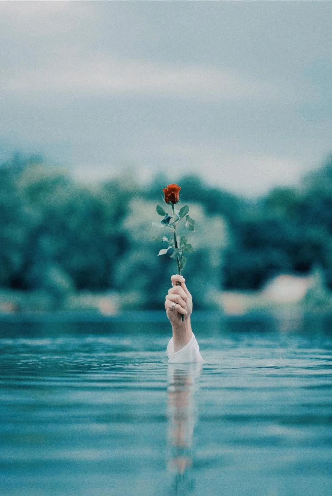 But why the Sacred Prostitute..?! 🌹