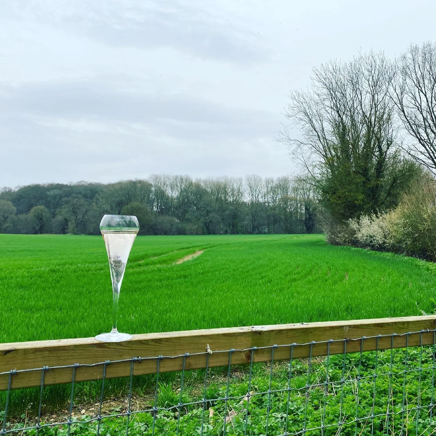 How will you celebrate yourself?