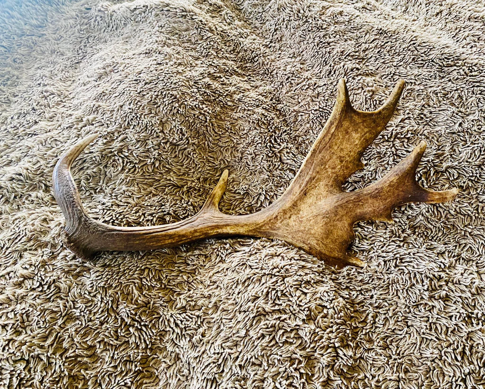 “Is magic real..?”