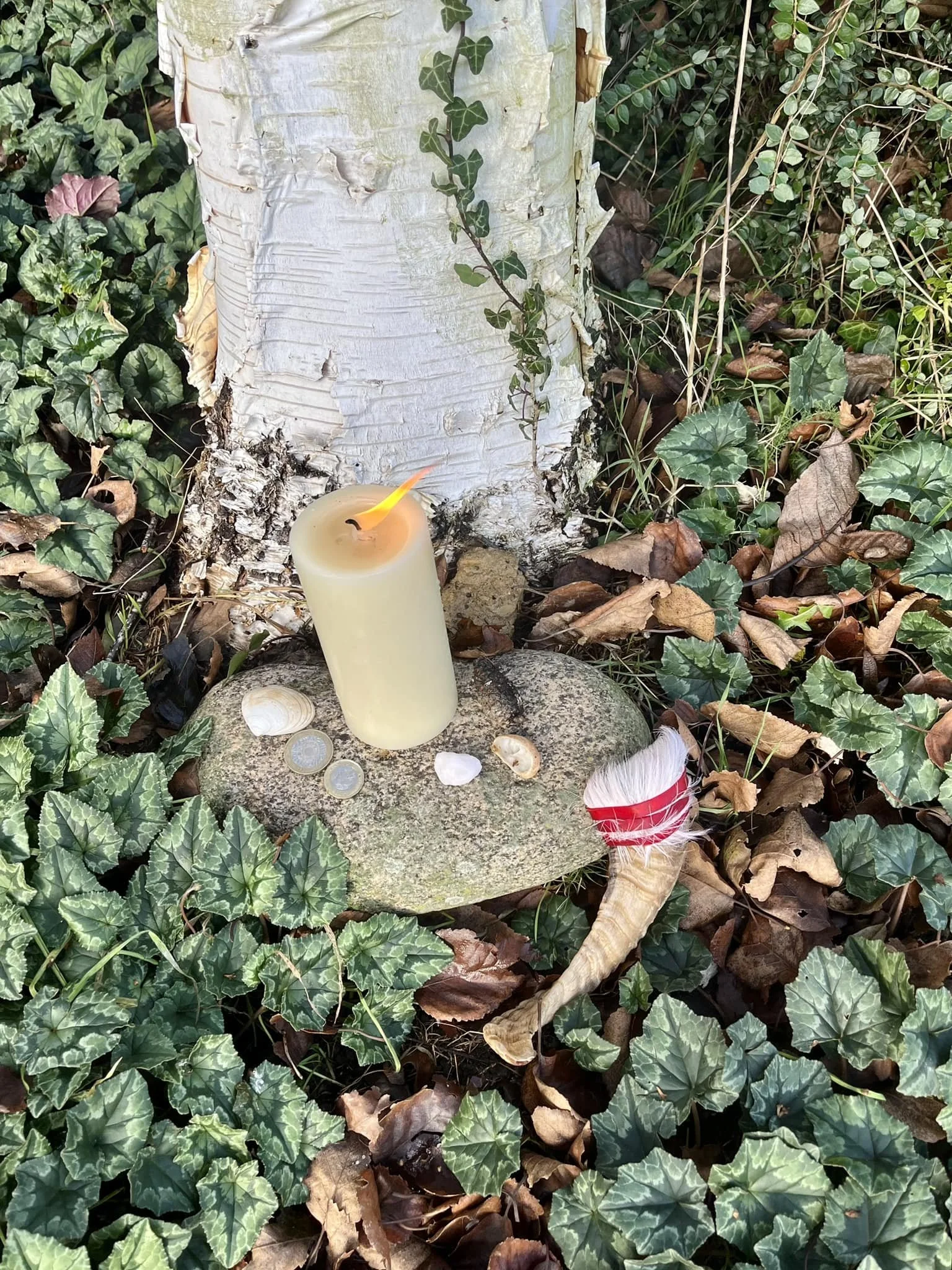 Plant medicine integration: What is being integrated with what? 🌱