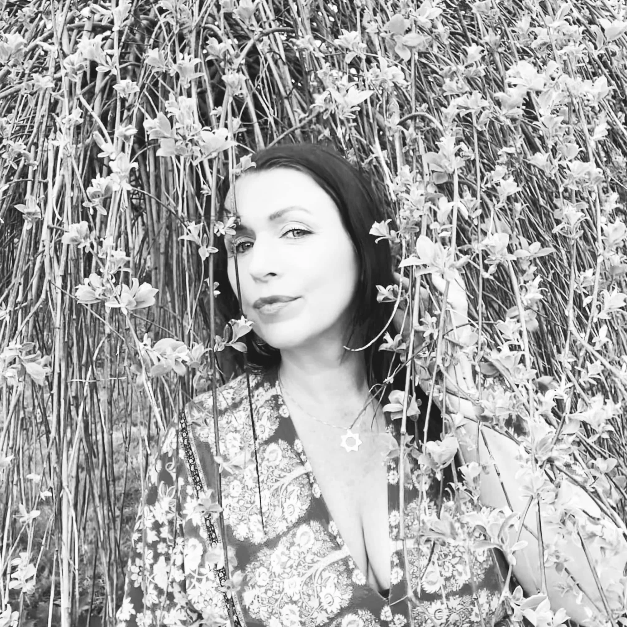 Reclaiming the wild relationship with night dreams