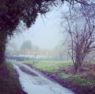 Rewilding and real Magic…