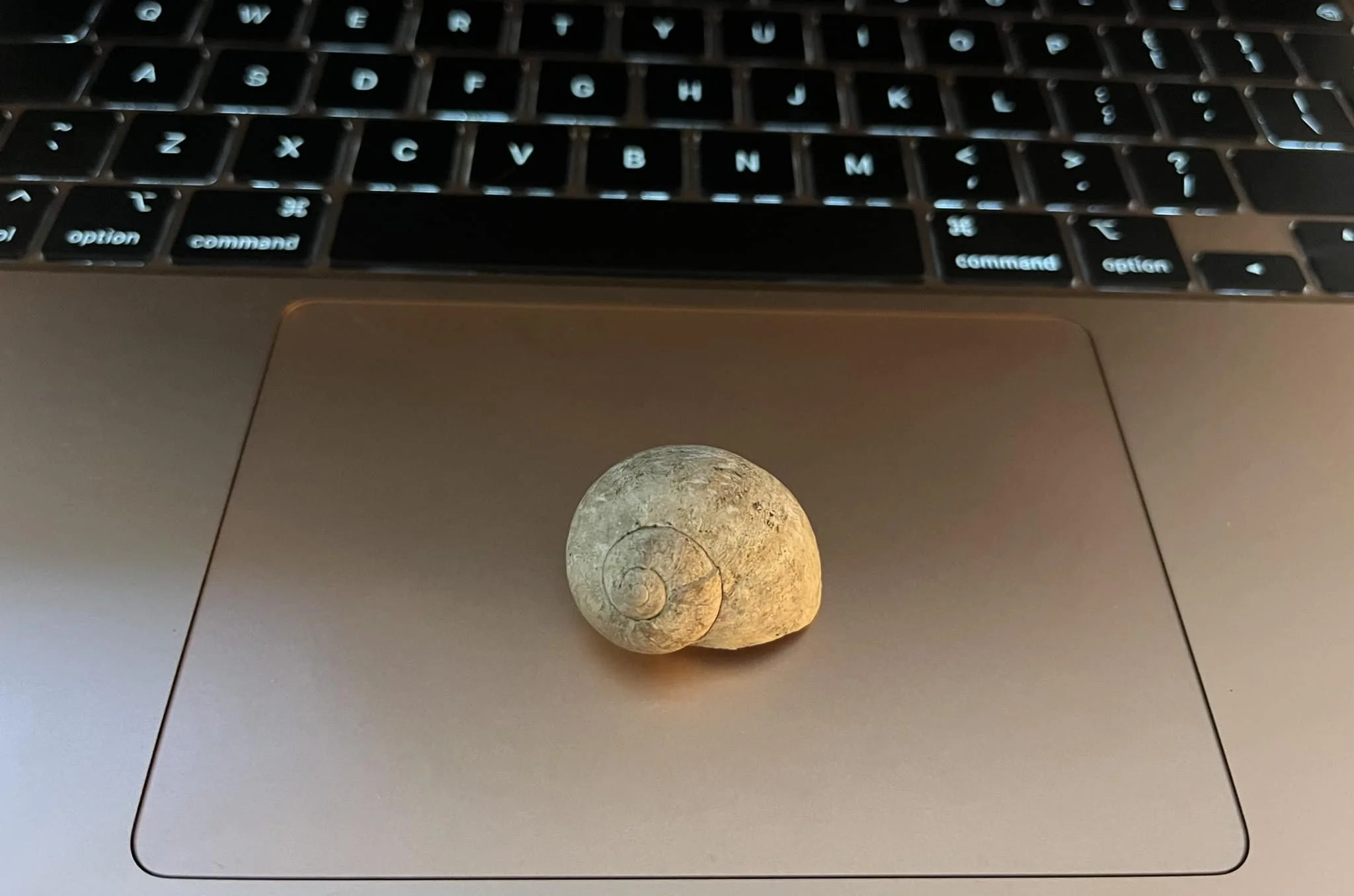 Soul business is usually slow business 🐌