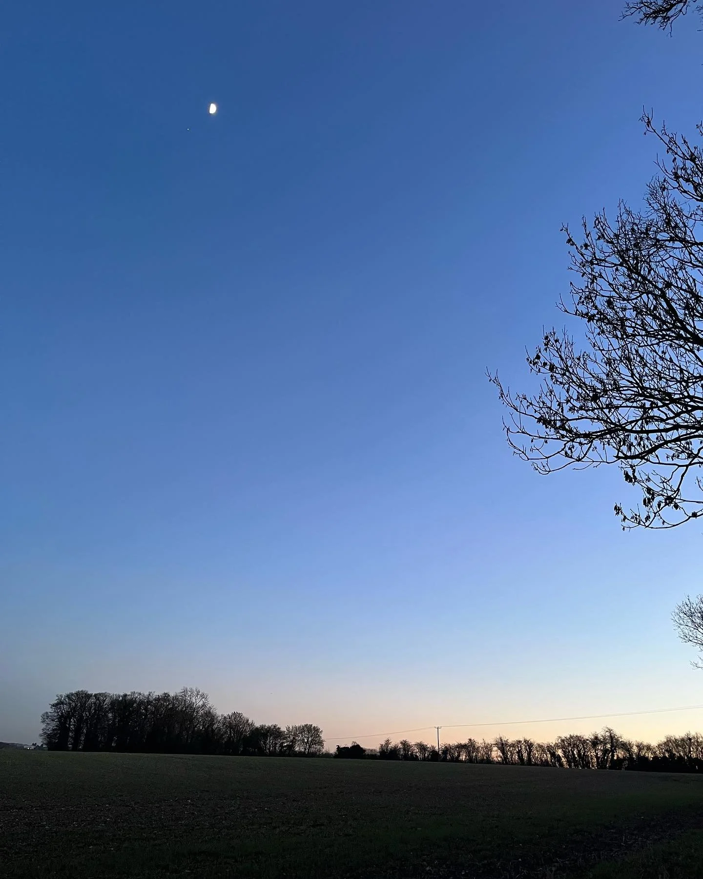 The anniversary of a miracle 🌟