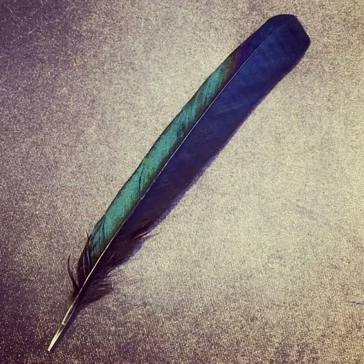 The soul-made YES is often the most frightening YES to say