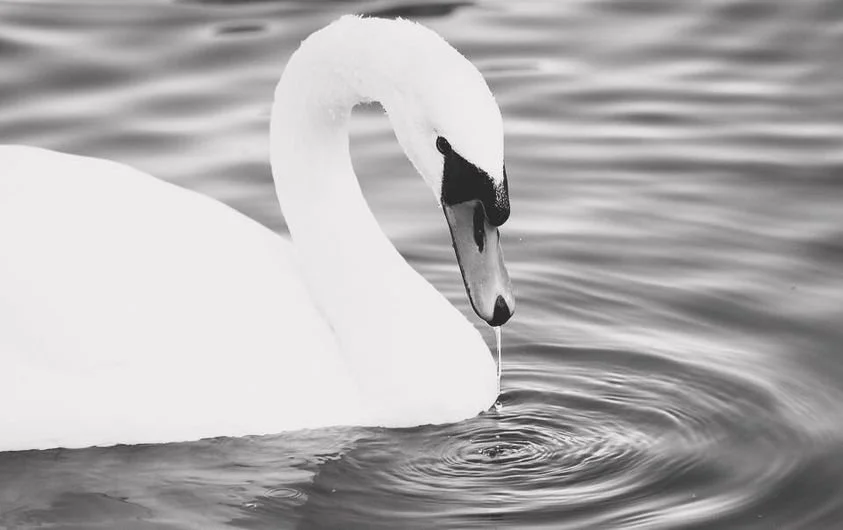 To my Sisters, Everywhere