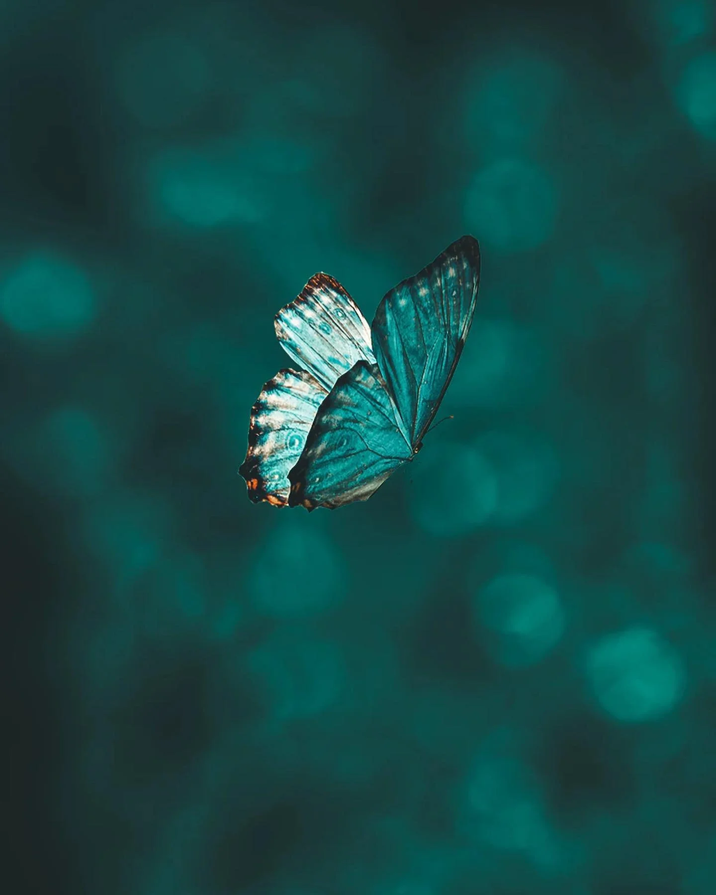 What is your soul purpose?