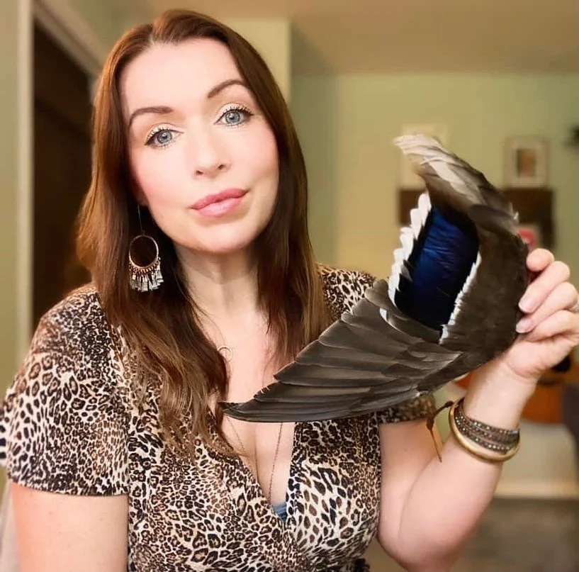 What the Owl said 🦉