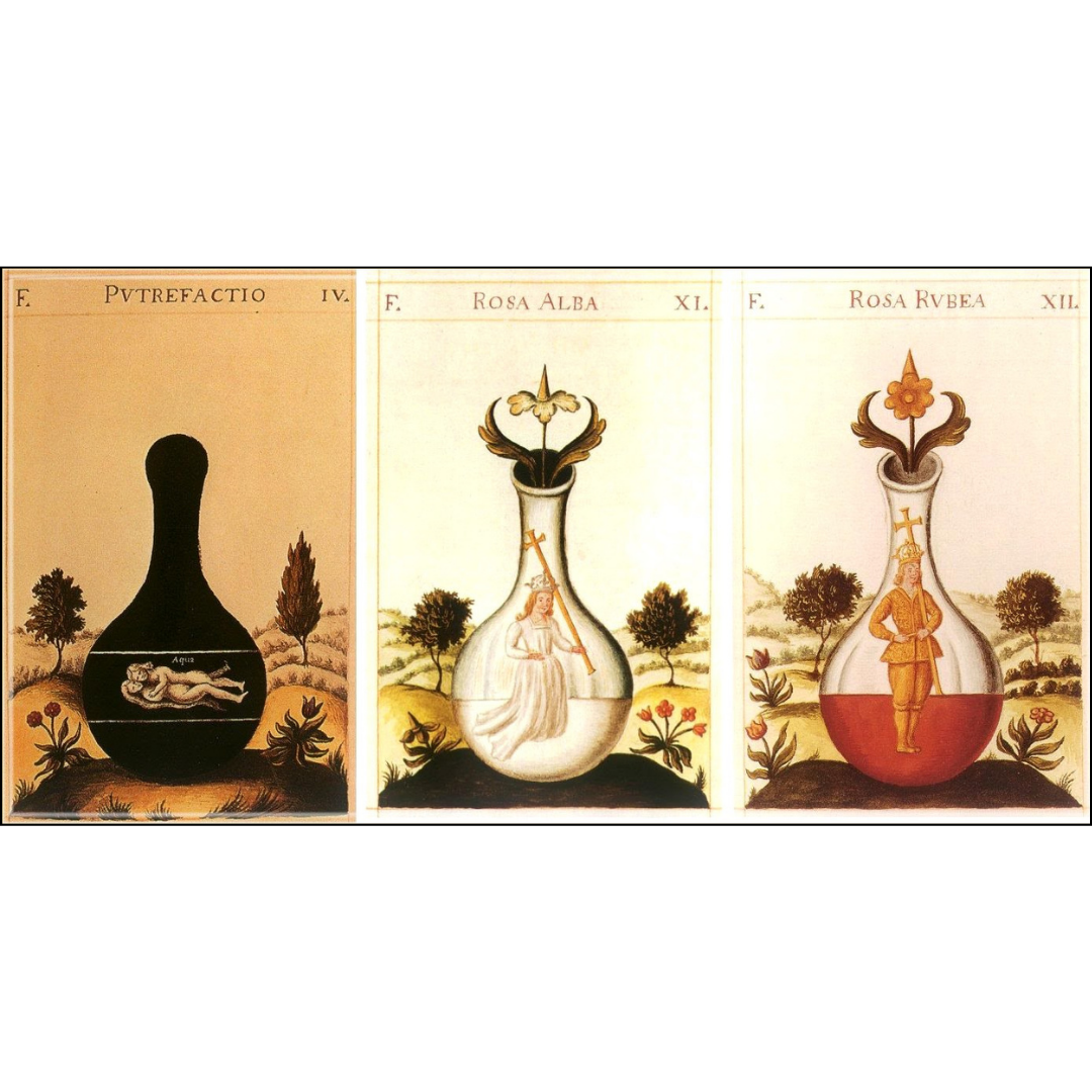 Which stage of psychological alchemy are you in? 🖤