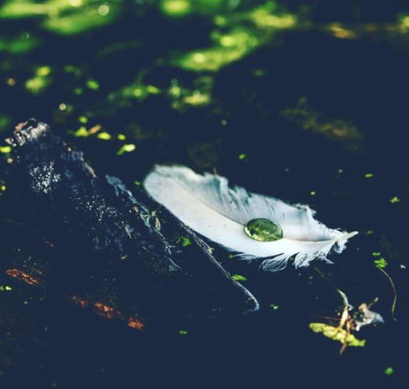 ‘Why magic shows up when it does’