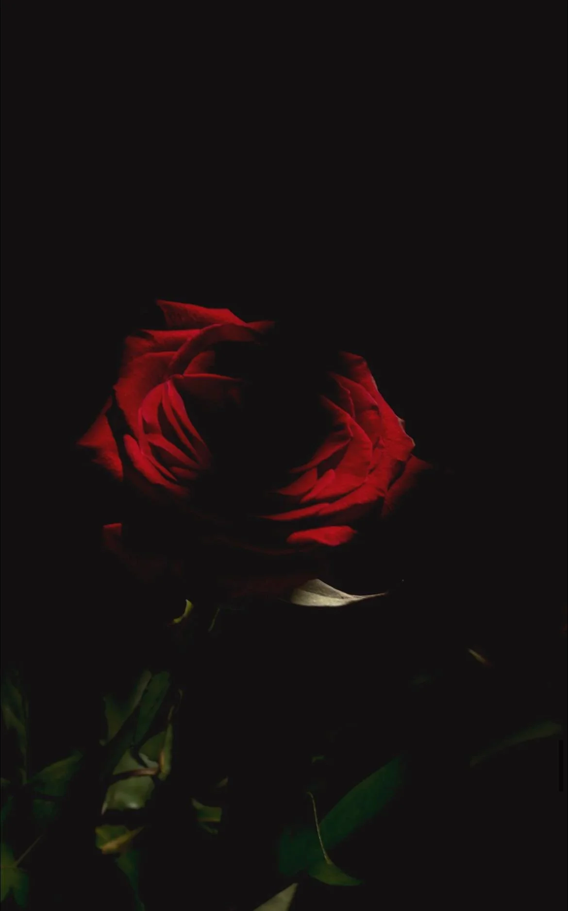 “You’re in shadow…”