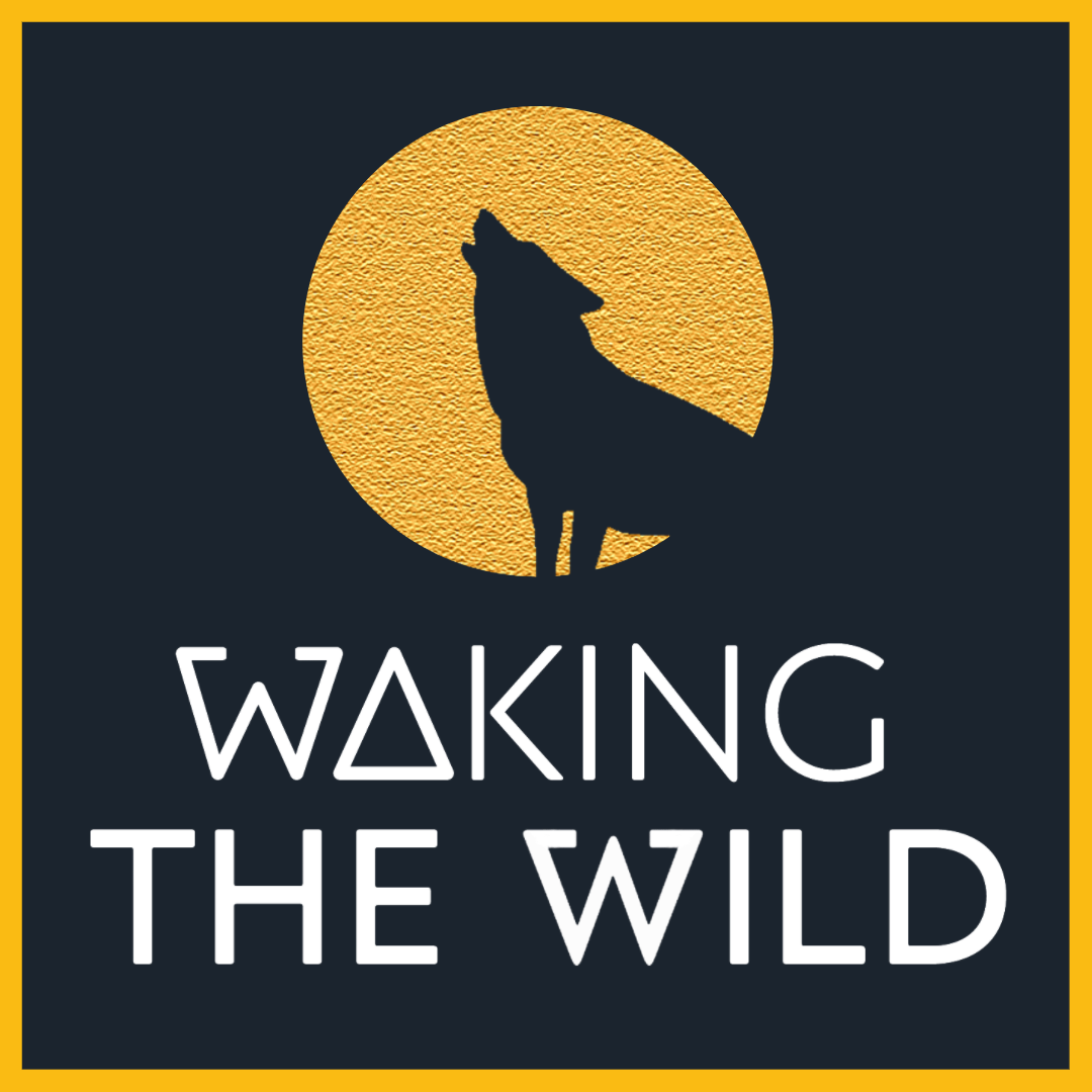 All The Everything - How and why you hide (and what you can do instead)