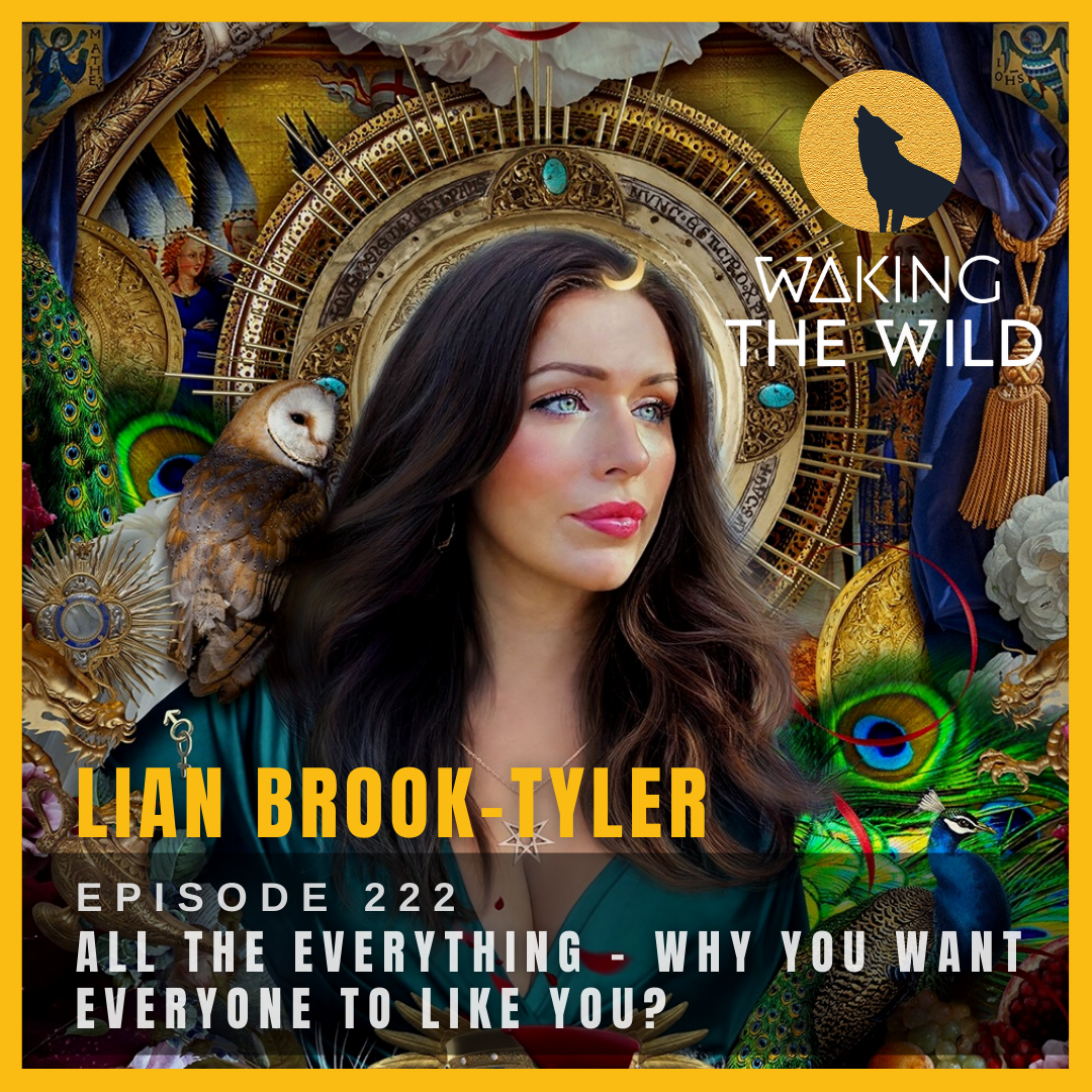 All The Everything – Why you want everyone to like you