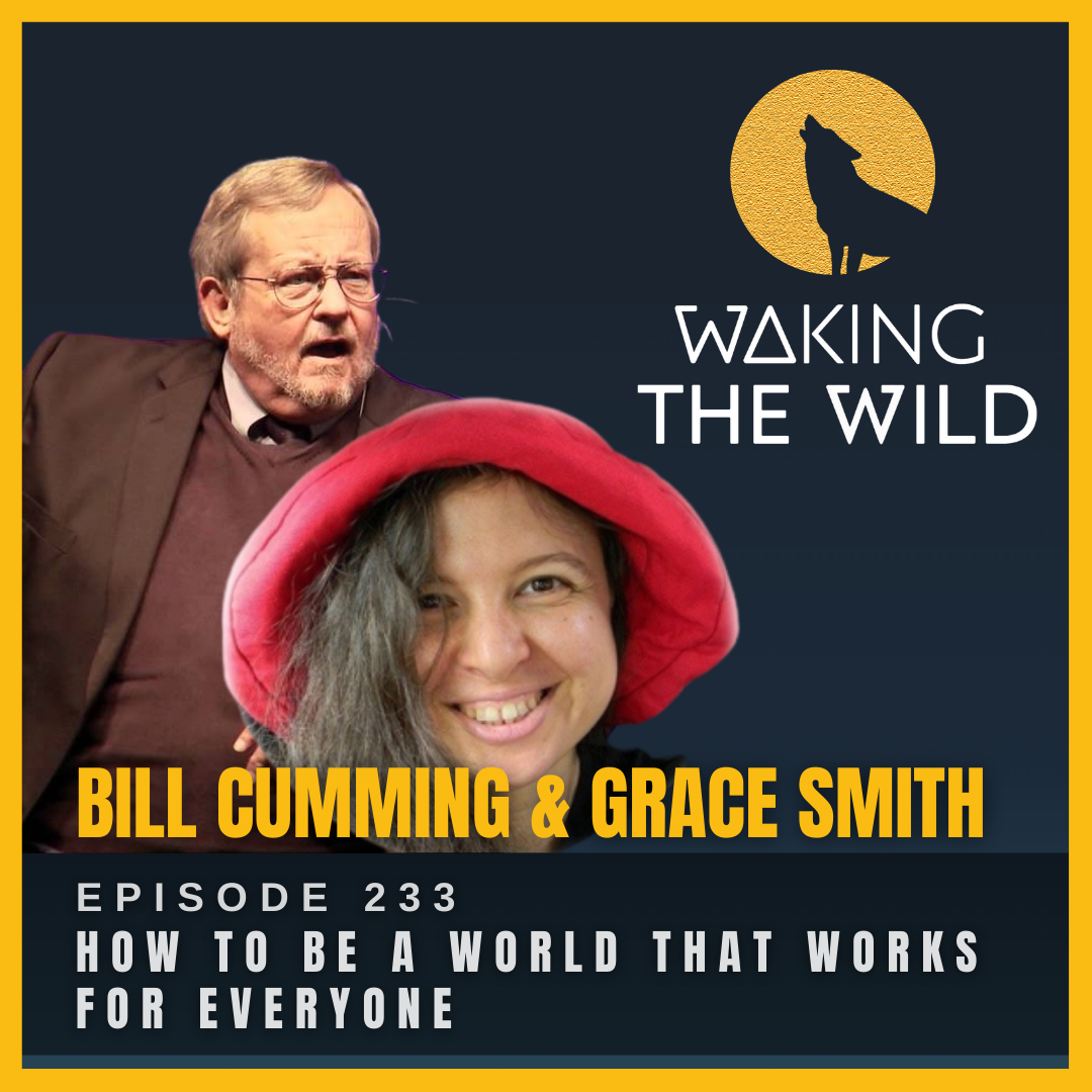 How to be a world that works for everyone