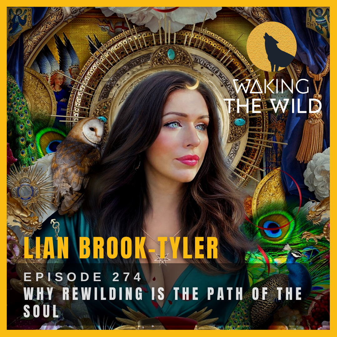 Why rewilding is the path of the soul