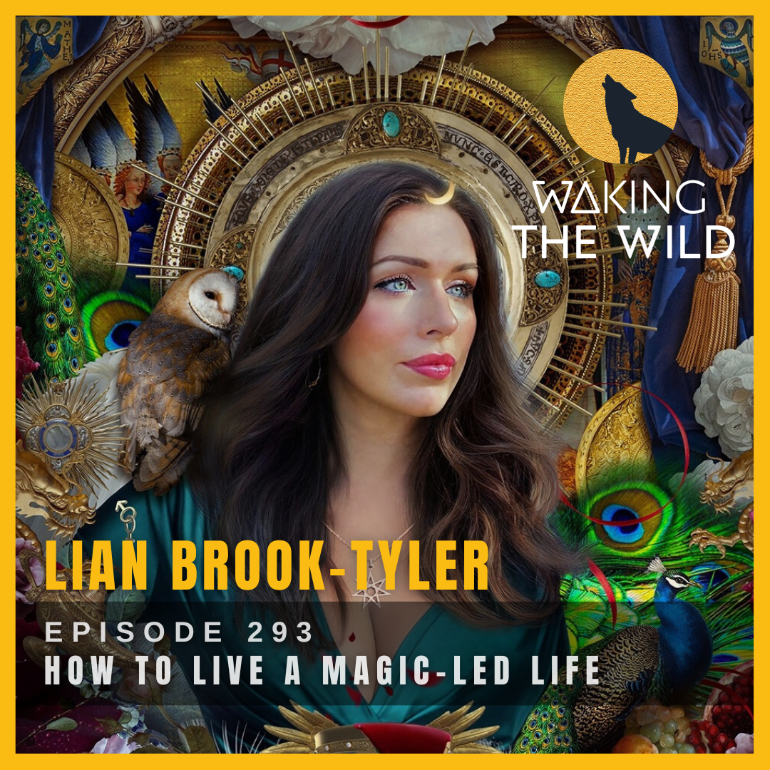 How to live a magic-led life